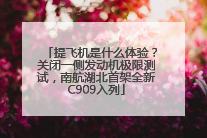 提飞机是什么体验？关闭一侧发动机极限测试，南航湖北首架全新C909入列