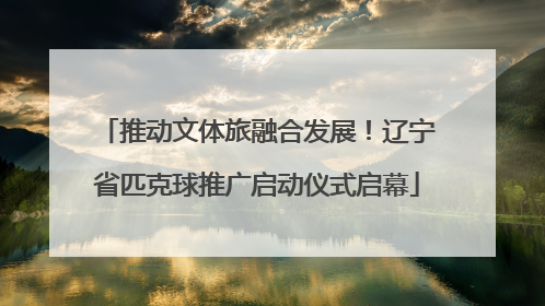 推动文体旅融合发展！辽宁省匹克球推广启动仪式启幕