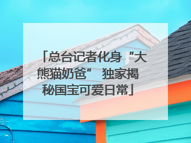 总台记者化身“大熊猫奶爸” 独家揭秘国宝可爱日常