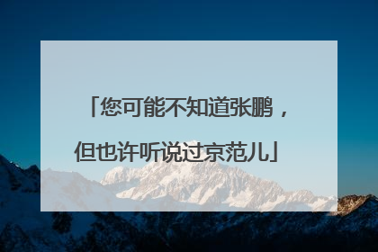 您可能不知道张鹏，但也许听说过京范儿