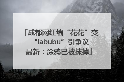 成都网红墙“花花”变“labubu”引争议 最新：涂鸦已被抹掉