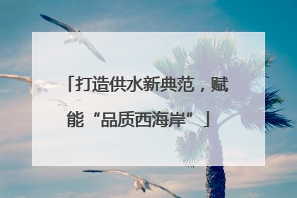 打造供水新典范，赋能“品质西海岸”