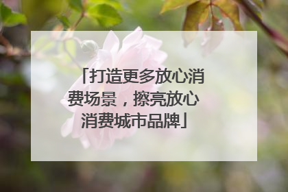 打造更多放心消费场景，擦亮放心消费城市品牌
