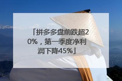 拼多多盘前跌超20%，第一季度净利润下降45%