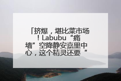 挤爆，堪比菜市场！Labubu“痛墙”空降静安嘉里中心，这个精灵还要“突袭”便利店？