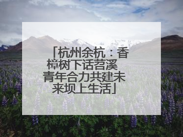杭州余杭：香樟树下话苕溪 青年合力共建未来坝上生活