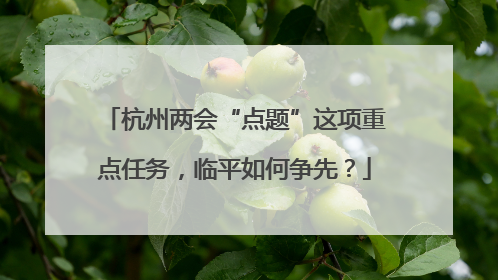 杭州两会“点题”这项重点任务，临平如何争先？