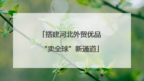 搭建河北外贸优品“卖全球”新通道