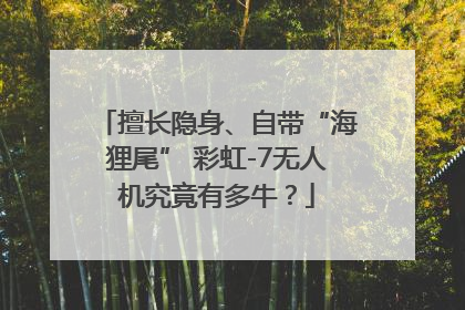 擅长隐身、自带“海狸尾” 彩虹-7无人机究竟有多牛？