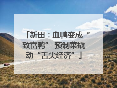 新田：血鸭变成“致富鸭” 预制菜撬动“舌尖经济”