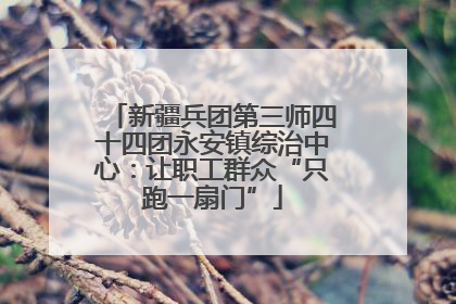 新疆兵团第三师四十四团永安镇综治中心：让职工群众“只跑一扇门”