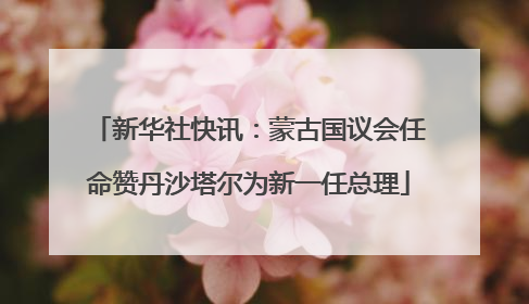 新华社快讯：蒙古国议会任命赞丹沙塔尔为新一任总理