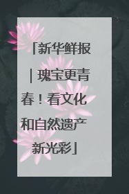 新华鲜报｜瑰宝更青春！看文化和自然遗产新光彩