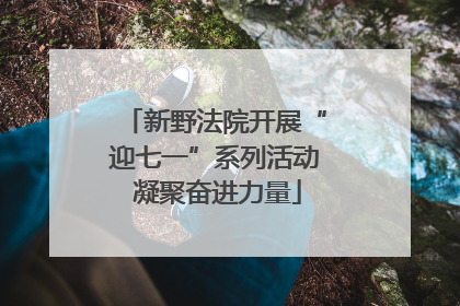 新野法院开展“迎七一”系列活动 凝聚奋进力量
