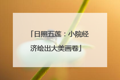 日照五莲：小院经济绘出大美画卷