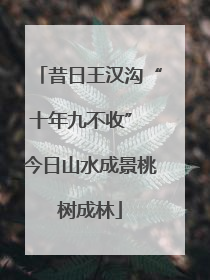 昔日王汉沟“十年九不收” 今日山水成景桃树成林