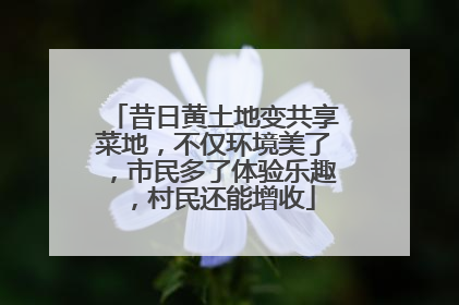 昔日黄土地变共享菜地，不仅环境美了，市民多了体验乐趣，村民还能增收