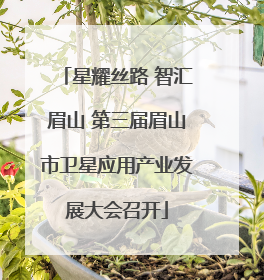 星耀丝路 智汇眉山 第三届眉山市卫星应用产业发展大会召开