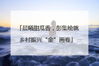 晨曦甜瓜香，彭集绘就乡村振兴“金”画卷