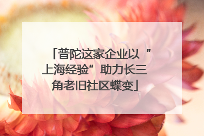 普陀这家企业以“上海经验”助力长三角老旧社区蝶变