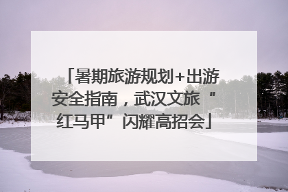 暑期旅游规划+出游安全指南，武汉文旅“红马甲”闪耀高招会