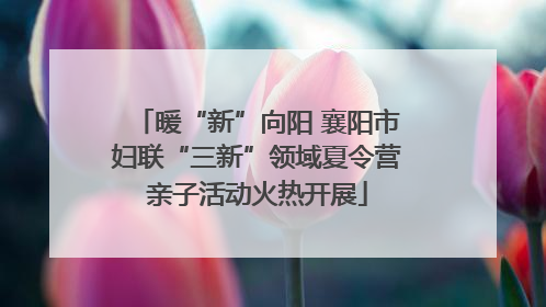 暖“新”向阳 襄阳市妇联“三新”领域夏令营亲子活动火热开展
