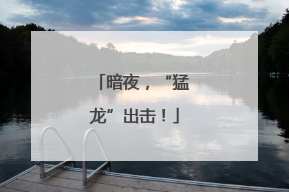 暗夜，“猛龙”出击！