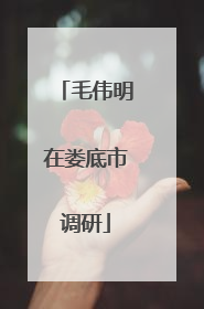 毛伟明在娄底市调研