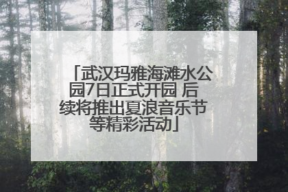 武汉玛雅海滩水公园7日正式开园 后续将推出夏浪音乐节等精彩活动