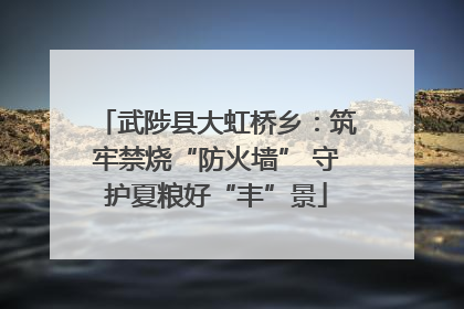 武陟县大虹桥乡：筑牢禁烧“防火墙” 守护夏粮好“丰”景