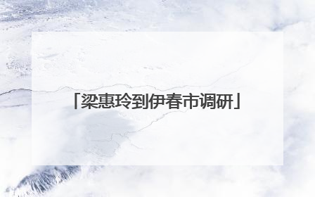 梁惠玲到伊春市调研