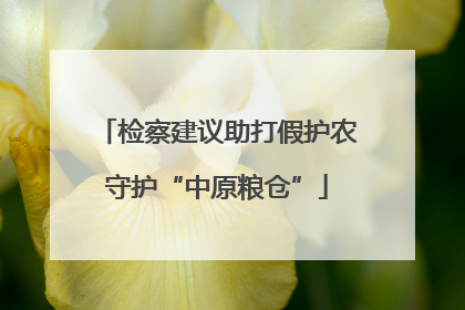 检察建议助打假护农守护“中原粮仓”