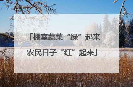 棚室蔬菜“绿”起来 农民日子“红”起来