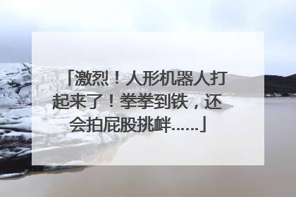激烈！人形机器人打起来了！拳拳到铁，还会拍屁股挑衅……