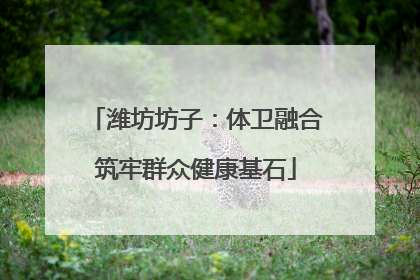 潍坊坊子：体卫融合筑牢群众健康基石