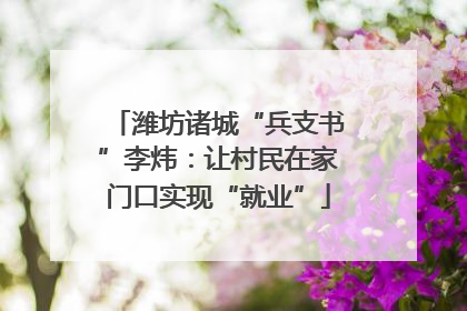 潍坊诸城“兵支书”李炜：让村民在家门口实现“就业”