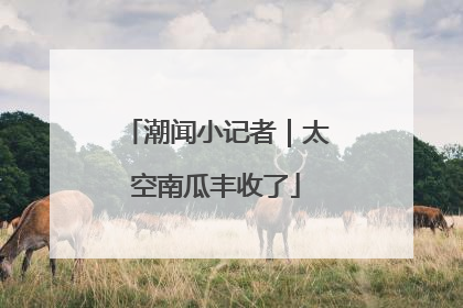 潮闻小记者｜太空南瓜丰收了