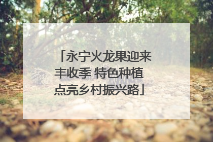 永宁火龙果迎来丰收季 特色种植点亮乡村振兴路