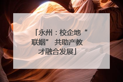 永州：校企地“联姻” 共助产教才融合发展