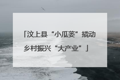 汶上县“小瓜蒌”撬动乡村振兴“大产业”