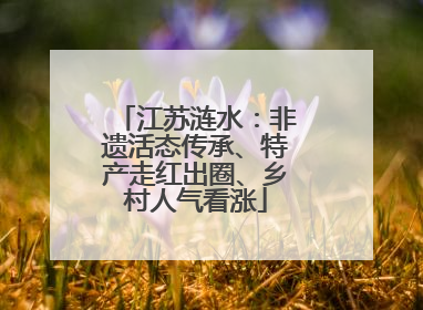 江苏涟水：非遗活态传承、特产走红出圈、乡村人气看涨
