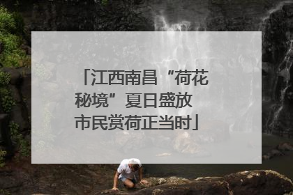 江西南昌“荷花秘境”夏日盛放 市民赏荷正当时
