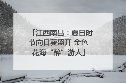 江西南昌：夏日时节向日葵盛开 金色花海“醉”游人