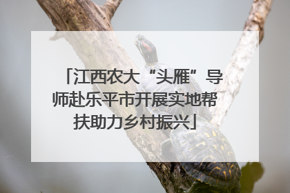 江西农大“头雁”导师赴乐平市开展实地帮扶助力乡村振兴