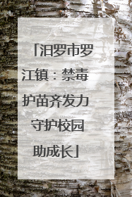 汨罗市罗江镇：禁毒护苗齐发力 守护校园助成长
