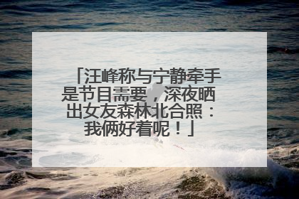 汪峰称与宁静牵手是节目需要，深夜晒出女友森林北合照：我俩好着呢！