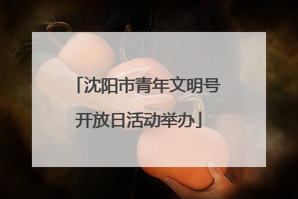沈阳市青年文明号开放日活动举办