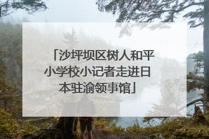 沙坪坝区树人和平小学校小记者走进日本驻渝领事馆