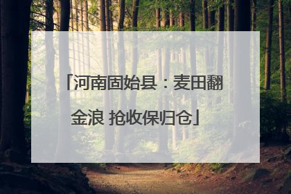 河南固始县：麦田翻金浪 抢收保归仓