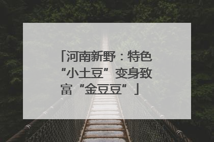 河南新野：特色“小土豆”变身致富“金豆豆”